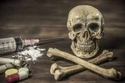 بیش از ۵۱۴ تن مواد مخدر در ۹ ماهه سال‌جاری کشف شد