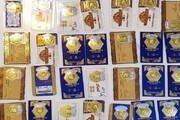 متلاشی شدن باند فروش سکه پارسیان تقلبی + عکس