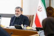 محسن رضایی: ارتباط ایران با جبهه مقاومت دستوری و آمرانه نیست