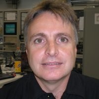 هوش مصنوعی دانای کل ۱۰ سال آینده دنیا میشود؟