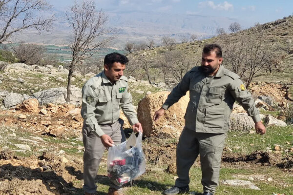 محیط زیست کرمان، نیازمند اقدام فوری و مشارکتی