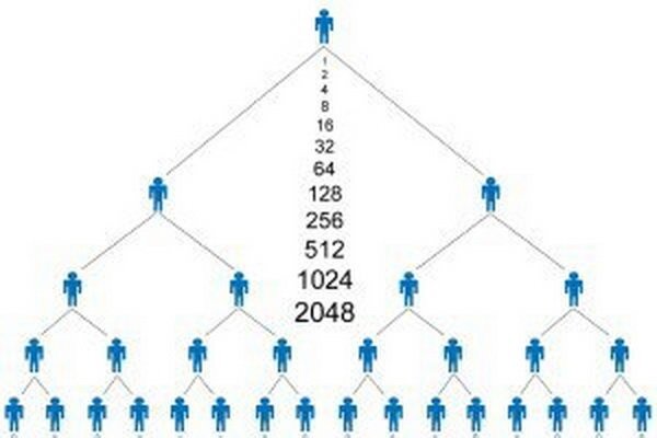 کشف شبکه هرمی با مدیریت دختر ۱۶ ساله