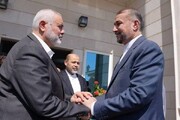 رئیس دفتر سیاسی حماس در دیدار با امیرعبداللهیان از کمک‌های ایران قدردانی کرد