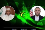 درخواست امیرعبداللهیان برای برگزاری نشست اضطراری شورای وزیران سازمان همکاری اسلامی