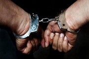 مردی با ۲۵ کیلوگرم اکلیل سرنج در تهران دستگیر شد