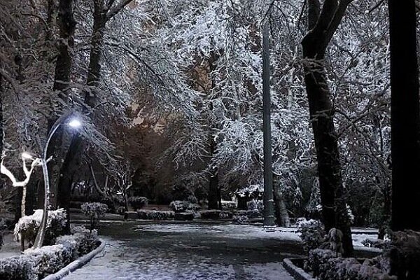 بارش برف شدید در مناطق شمالی شهر تهران + فیلم