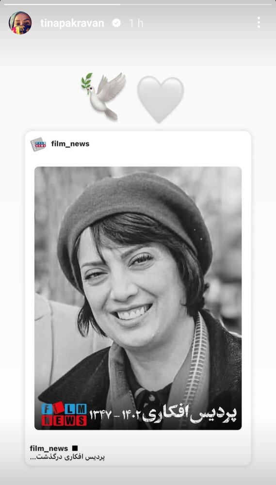 پردیس افکاری