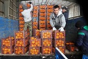آغاز عرضه میوه تنظیم بازاری شب عید به زودی