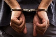 ۲ سارق با ۱۲۰ فقره سرقت در تهران دستگیر شدند