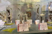 بازدید دانشجویان از موزه آمادای دانشگاه آزاد اسلامی همدان