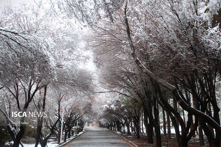 سیمای سفیدپوشِ «صفه» در اصفهان پس از اولین برف زمستانی