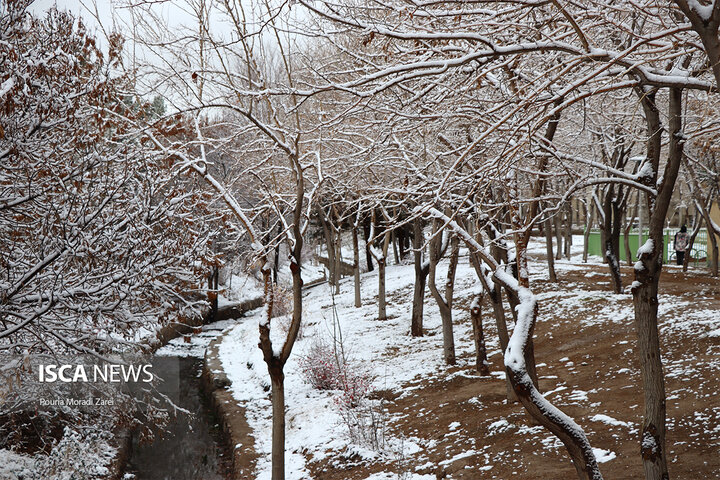 دومین بارش برف زمستانی اصفهان