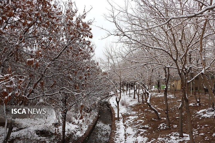 دومین بارش برف زمستانی اصفهان