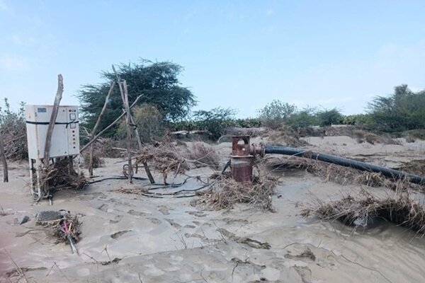 خسارت ۷۰۰۰ میلیونی سیل به کشاورزی سیستان و بلوچستان