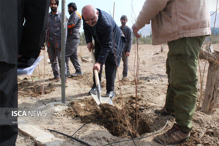 درخت‌کاری در دانشگاه آزاد اصفهان و کاشان به مناسبت هفته طبیعت