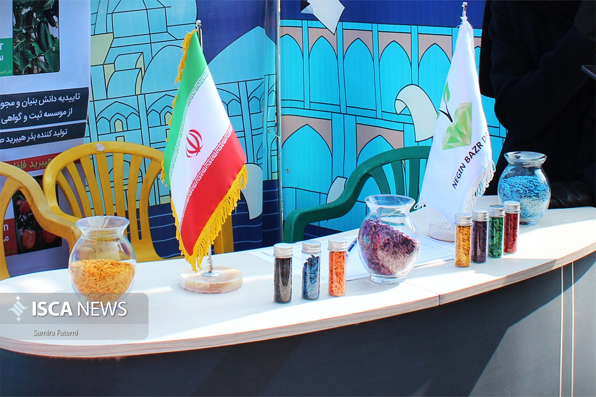 طرح پویش دانشگاه آزاد، تلاقی آموزش مهارتی و اشتغال دانشبنیانِ نسل جوان