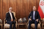 رایزنی سفیر جدید ایران در نیجر با وزیر امور خارجه