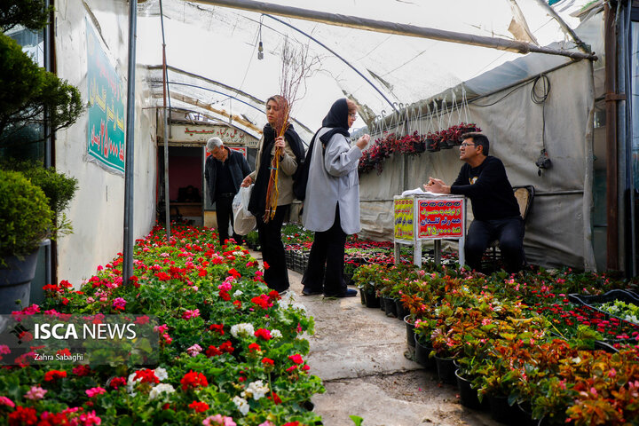 بازار گل محلاتی در آستانه نوروز
