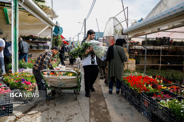 بازار گل محلاتی در آستانه نوروز