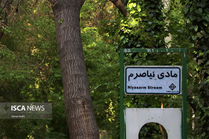 مادی‌های زاینده‌رود، میراث چندهزارساله مهندسی آبی در اصفهان