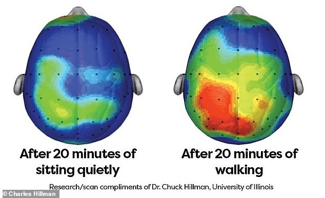 برای تقویت مغز چند دقیقه پیاده‌روی لازم است؟