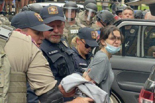 تفاوت بوته با درخت