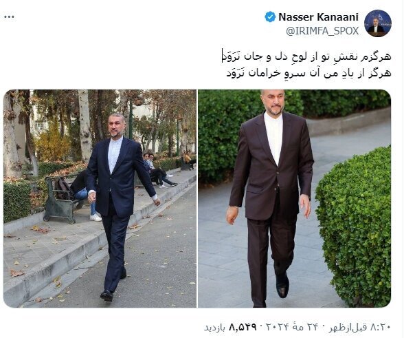 دلنوشته سخنگوی وزارت خارجه برای شهید امیرعبداللهیان + عکس