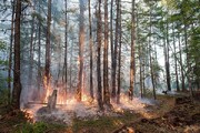 مهار کامل آتش‌سوزی جنگل‌های پلدختر