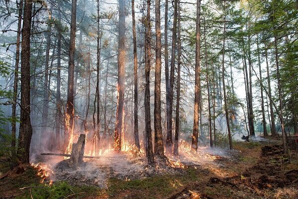 مهار کامل آتش‌سوزی جنگل‌های پلدختر