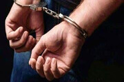 ۳۰ متهم به سرقت و ۲ سارق زن در حرم امام (ره) دستگیر شدند