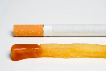 غذای محبوبی که ضرری برابر با کشیدن ۲۵ نخ سیگار دارد