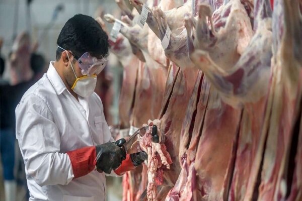 صفر شدن سود  بازرگانی واردات دام و گوشت