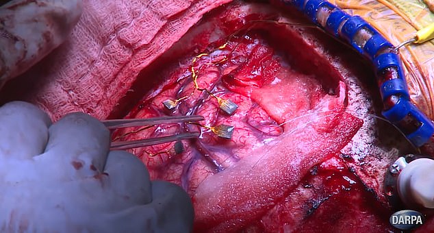 انسان تا سال ۲۰۴۵ با هوش مصنوعی ادغام میشود