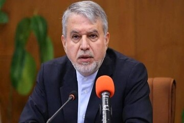 صالحی‌امیری: آمار ورود گردشگران به مثبت ۱۰ درصد رسیده است