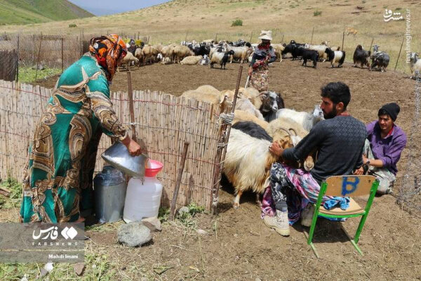 شالوده مرتع داری بر روی زندگی عشایری استوار گردیده است