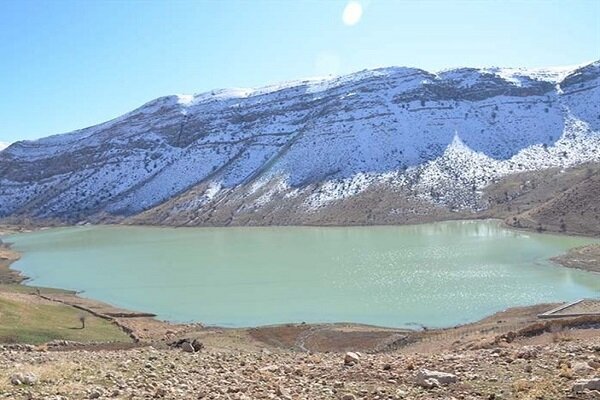 تلف شدن هزاران قطعه ماهی در تالاب زیلایی + فیلم