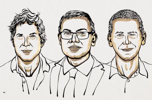 شکستن کد ساختارهای شگفتانگیز پروتئینها؛ موضوع اصلی جایزه نوبل شیمی امسال