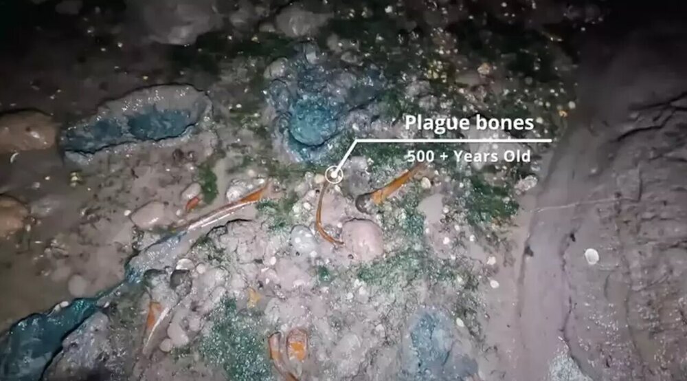 آلودهترین جزیره دنیا کجاست؟