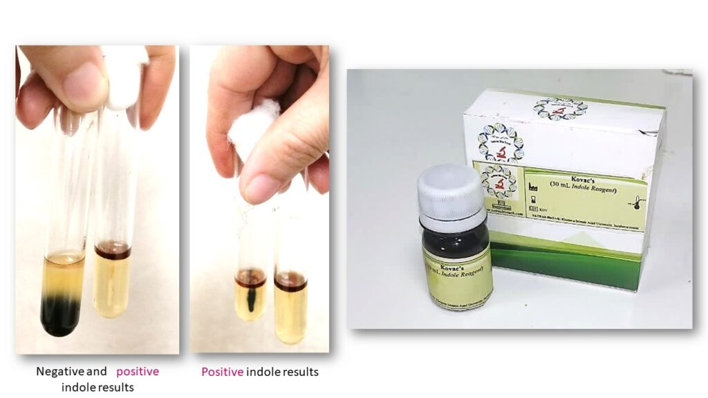 جلوگیری از خروج یک میلیون دلار ارز با تجاریسازی علوم آزمایشگاهی