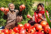 جشنواره انار در خلخال برگزار می‌شود