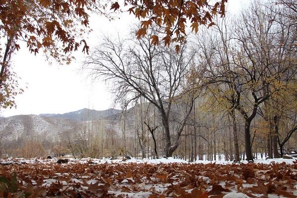 روستای دهبکردی بم