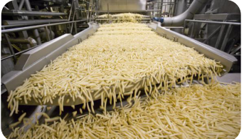 ممانعت از خروج ارز با جلوگیری از خامفروشی در صنایع غذایی