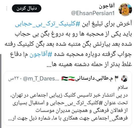 «کلینیک ترک بیحجابی» برای مردم یادآور کلینیکهای ترک اعتیاد است/ تک فلاح: نبود پیوست رسانهای هر طرحی با مشکلاتی مواجه شود