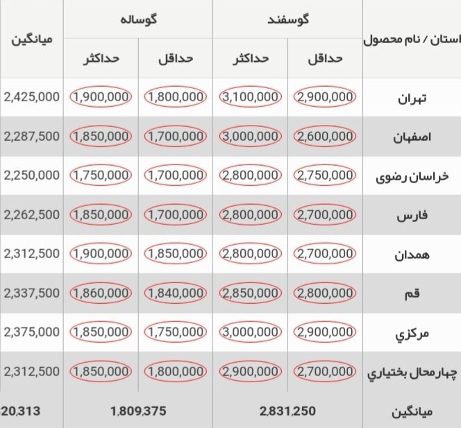 قیمت دام زنده ۳۰ آبان ۱۴۰۳ + جدول