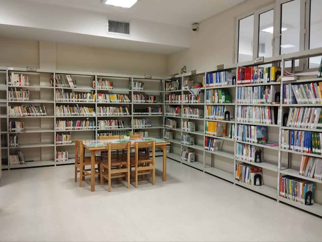 شهرستان رزن در مسیر کتابخوانی؛ از توسعه کتابخانهها تا افتخارات ملی