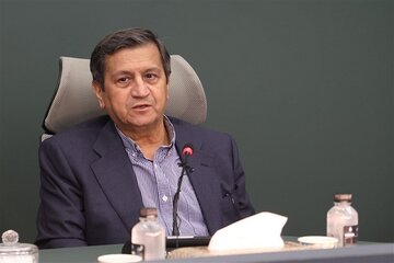 همتی: بانک مرکزی تماشاچی نوسانات غیرعادی بازار ارز نیست