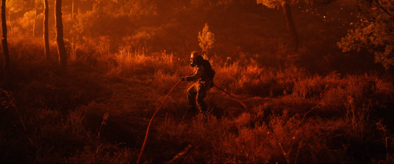 بهترین تصاویر علمی 2024 به انتخاب نیچر / ۲ ایرانی محقق در فهرست بهترین‌ها