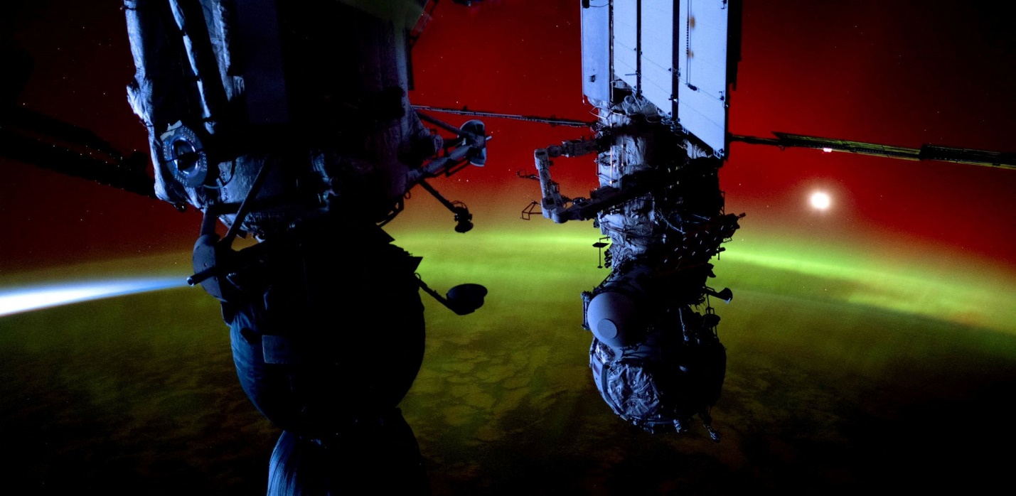 بهترین تصاویر علمی 2024 به انتخاب نیچر / ۲ ایرانی محقق در فهرست بهترین‌ها