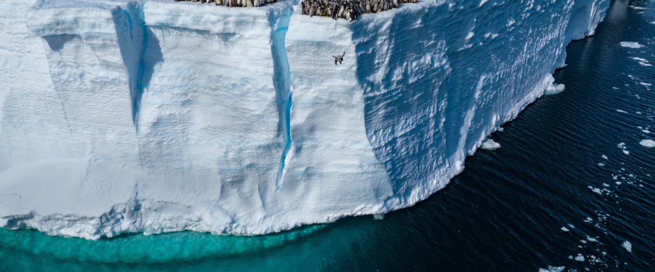 بهترین تصاویر علمی 2024 به انتخاب نیچر / ۲ ایرانی محقق در فهرست بهترینها