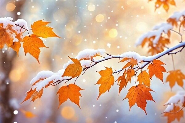 ورود سامانههای بارشی پی در پی به کشور